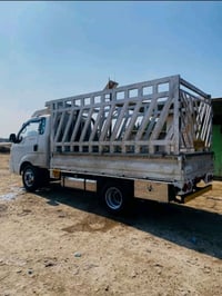 محجر • جديد • درجة اولى