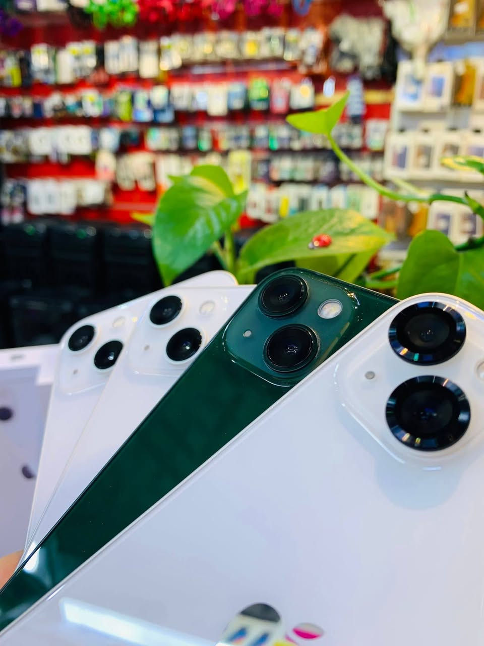 #مستخدم ☺️

📱 iPhone 13  📱

الأوان 🥹👌

     🍂. 🍂    مستخدم نظافته 100/100🍂 🍂

👈👈السعــــــر /🔥 من425الى500🔥👉👉

💎 الذاكــــــــــــــــــــره / 128GB+256GB 

💎 البطاريـــــــــــــــــــــه /من 80 الى100 

______________________________________________

👈يرهم 🔄 مراوس 🔄ويه أي جهاز 🔄 عندك 👉

التوصيل متوفر لجميع المحافظات 💨🚙

او زياره موقعنا الكائن في 🫵

    📌العنــــــــــ🫵ـــــــــوان📌

  🔥 مركز الاسطورة للموبايل 🔥

 ‏_الانبار_ عنه_ مجاور_ مستشفى_ _عنه🏥
 العالم ⛩️⛩️⛩️⛩️⛩️

***********واتس
***********
