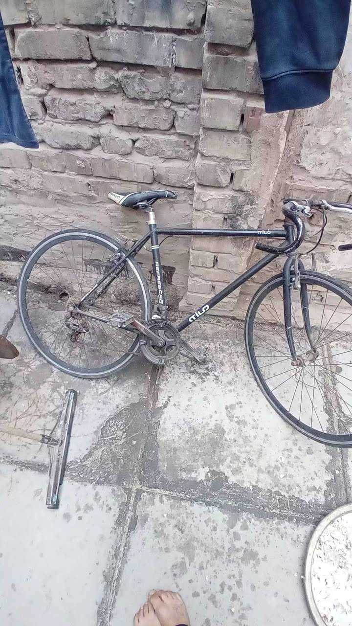 قيم وخض يرضه بي ا لله مكان بغداد مدينة رقمي واساب ***********
