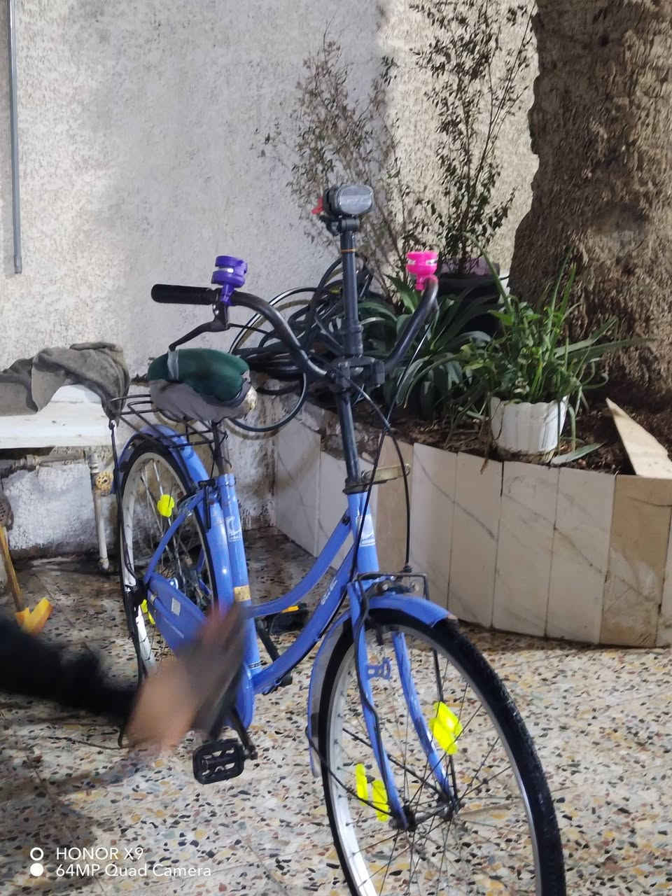 سلام عليكم باسكل لبيع باسكل نضيف حلو ومرتب بيع او مراوس ب درجه *********** بغداد الشعله
