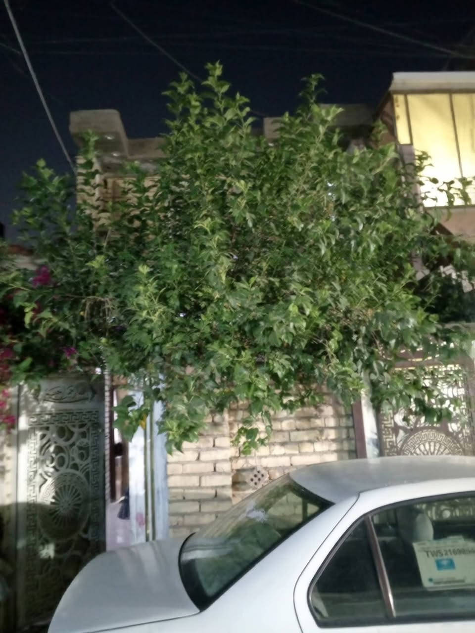السلام عليكم دار للبيع المساحه 100 متر قاطين معزول درج خارجي عل شارع خدمات كاملة داخل المنطقة شارع تبليط مي مجاري كهرباء تصميم الفوك مثل الجوة  يحتوي على غرفه نوم 5في 5 صحيات داخلية كاشي سيراميك الصحيات كامل مثل مواضح أرضية بورسلين مطبخ واستقبال وطارمه والفوك كذالك بس نقوصات بسيطة مكان السريدات القديمة المربع الثاني بدايتة اي استفسار على الرقم بي واتساب *********** سعرة 92 وبي مجال بسيط
