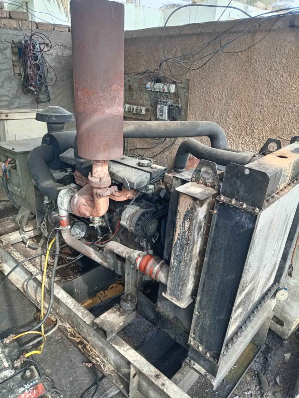 مولده للبيع بيركنز انكليزي١٥٠ كيفي تجفيد جديد لاتنقيص ولاتبخير عل حمل سعر ٤٥ هاتف ***********
