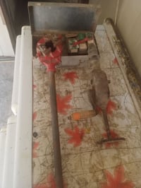 دريل يدوي • دايس • ادوات