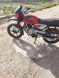 بوكسر • ٢٠٢٣ • مرقم باسمي