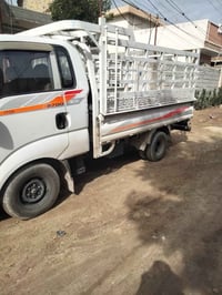 ٢٠١٢ • رقم دولي • بدون صبغ