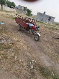 ستوته 2016 • أوراق كاملة • شاصي مكفول