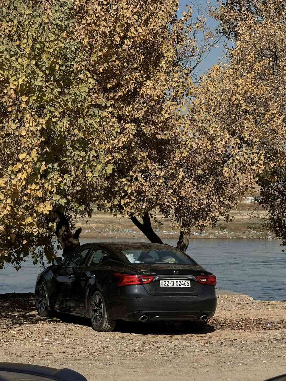 سلام عليكم نيسان مكسيما للبيع موديل 2017 مواصفات sv حادثها جاملغ السايق فقط شرط بدون دواخل بدون شاصي ايرباك ستيرن ودشبول راجع سستم سياره نضيفه كلش ونصبتها تخبل كدام عينك الصور تحجي وبل حقيقه احله بهواي  مابيها مصرف كامله من كل النواحي رقمها اربيل سنوية جديدة لل 29 وبيها باركود بانزين شرط تحويل ثاني يوم مكانها كركوك رجائاً المو شراي لا يتعبني مامتواجد ع نت الشراي يخابر ويشلع عيوني 
سعر 135 وبيها مجال بسيط  
***********
