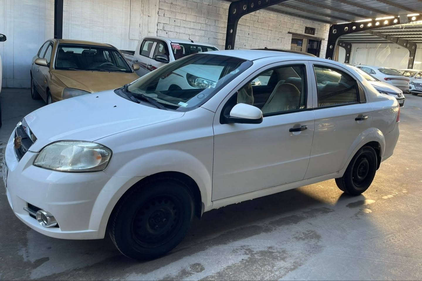 شۆفلێت ئەڤیۆ  2008 گێر ئۆتۆماتیک 
سپی مەکینە گەورە 
ناو زەردە
بۆنید بۆیاخ یەک بستی سندوق بۆیاخە 
کەمێک ساردی هەیە 

سـعـر : لە کۆمێنت داوابکە ڕاستەوخۆ بۆت دێت 📥 

گێر و مەکیەنەی بەشەرت 
هیچ کێشەیەکی تێدا نییە 

ژمارەی خاوەنەکەی 
***********
***********
