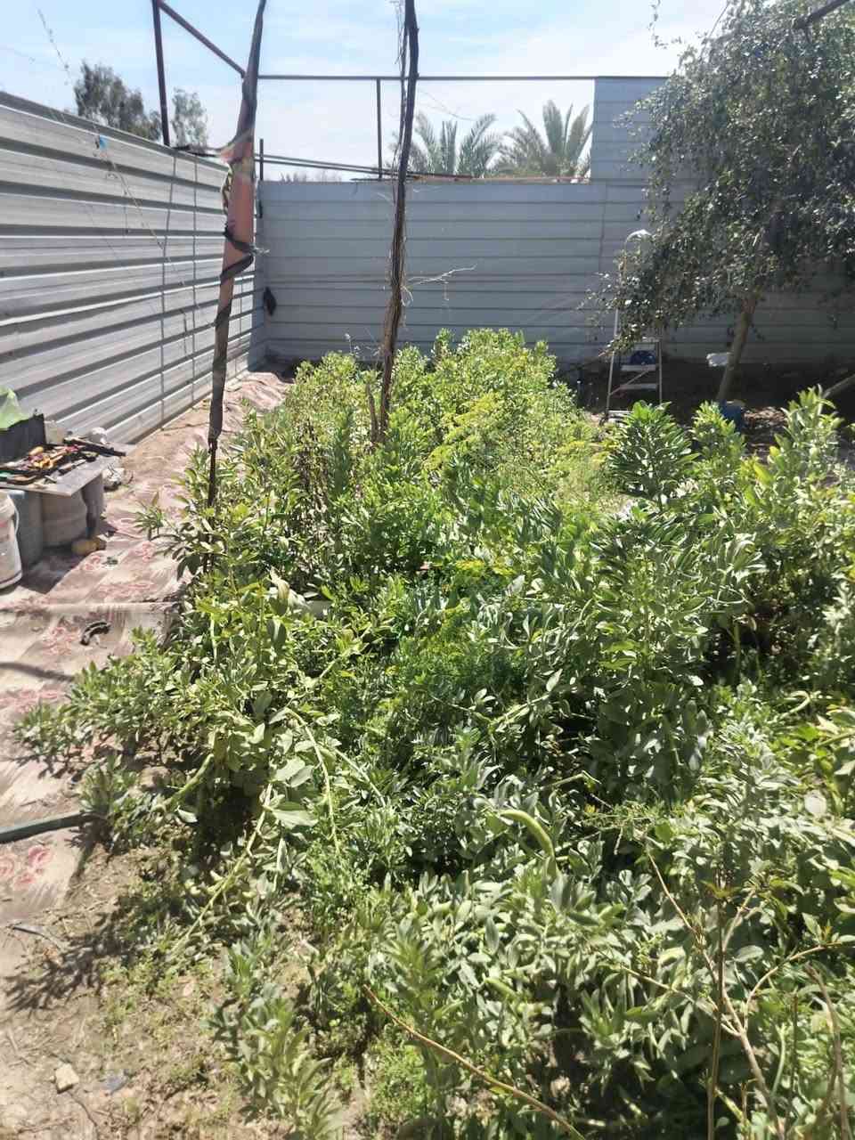 بيت للبيع او المرواس 
يقع في منطقه البو حسين مساحة 600 متر  
 بناء حديث  مخدوم يقع على شارعين 
نقل اسهم


**إذا كنت صاحب هذا الإعلان وتريد حذفه لأي سبب، رجاءا أرسل رسالة إلى الدعم الفني**