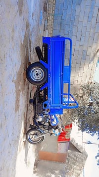 ستوته • وكيل نبيل • كفالة سنة