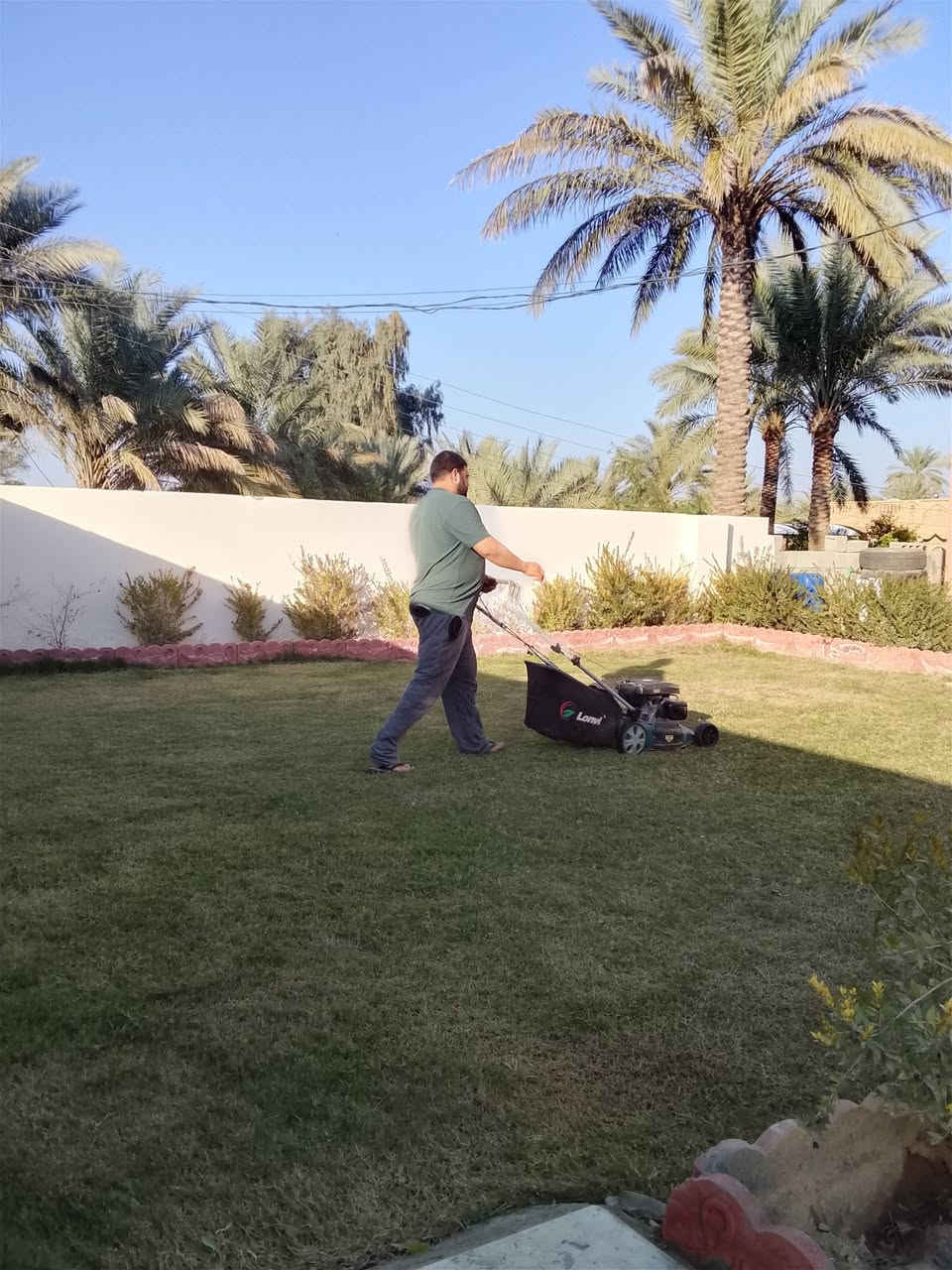 نعمل جميع الحدائق و الديكورات وتقليم الشجار وقص الثيل ديالى شهربان ***********
