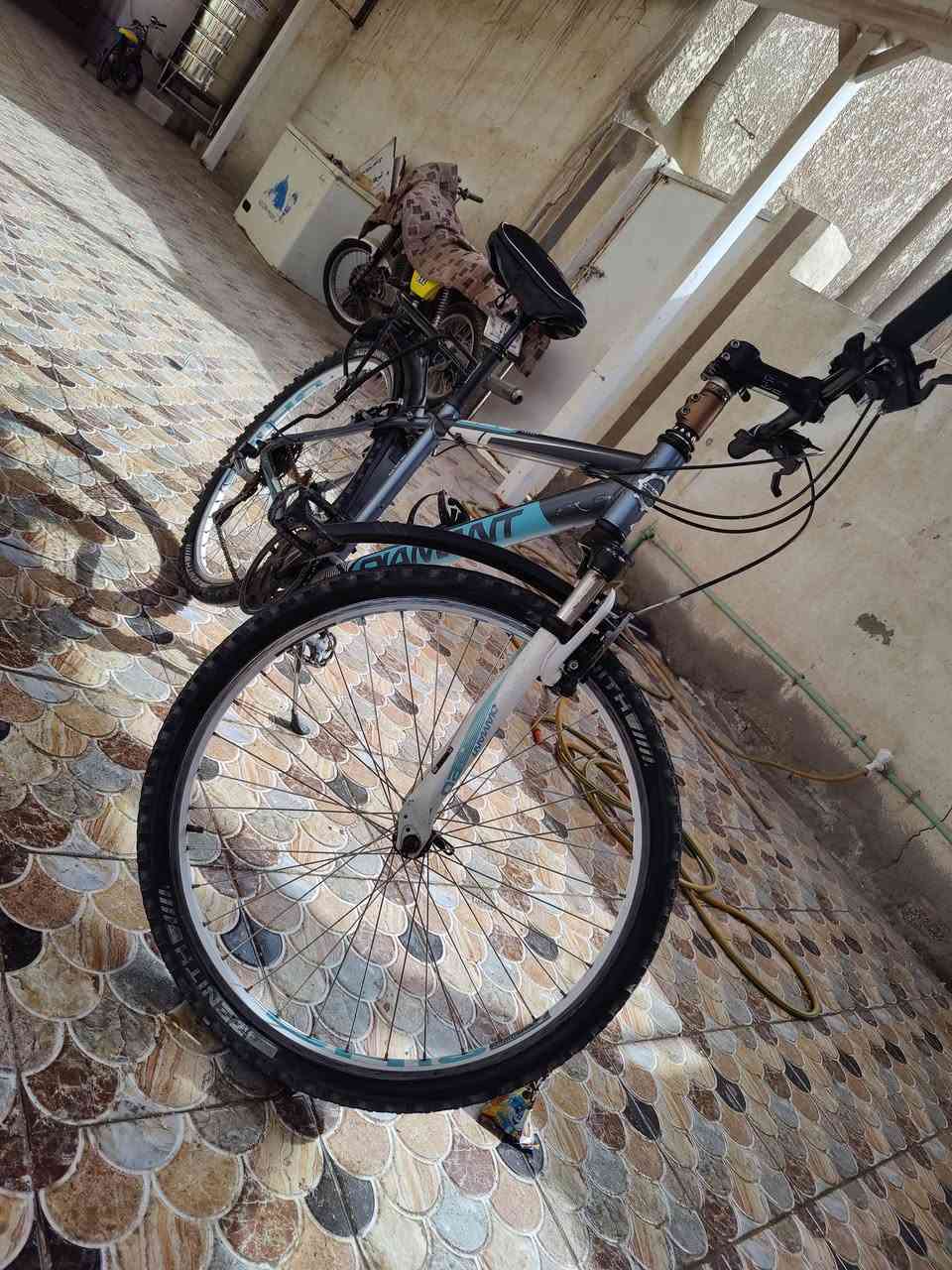 بايسكلات ماركات عالمية نظافة 95% وأسعار طيبة ان شاء الله أي قطعة تعجبك وتفاصيل عل الخاص او اتصل على *********** تحياتي لصاحب الاكروب وأعضاء الاكروب
