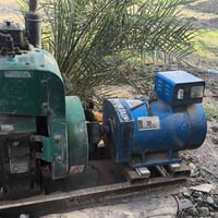 مولدة • هندي • ٣٥ انبير