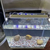 حوض نباتي • فلتر داخلي • ٥٠×٣٦×٣٠ سم