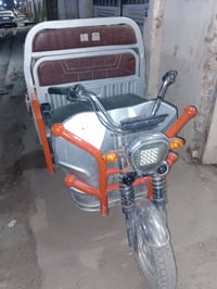 ستوت • الدورة