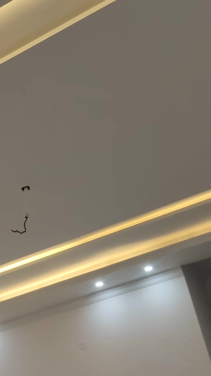 ثقتكم بنا دعم مستمر لنقدم لكم الأفضل من الأعمال بدقه و نضافه عاليه 

***********

@الجميع
