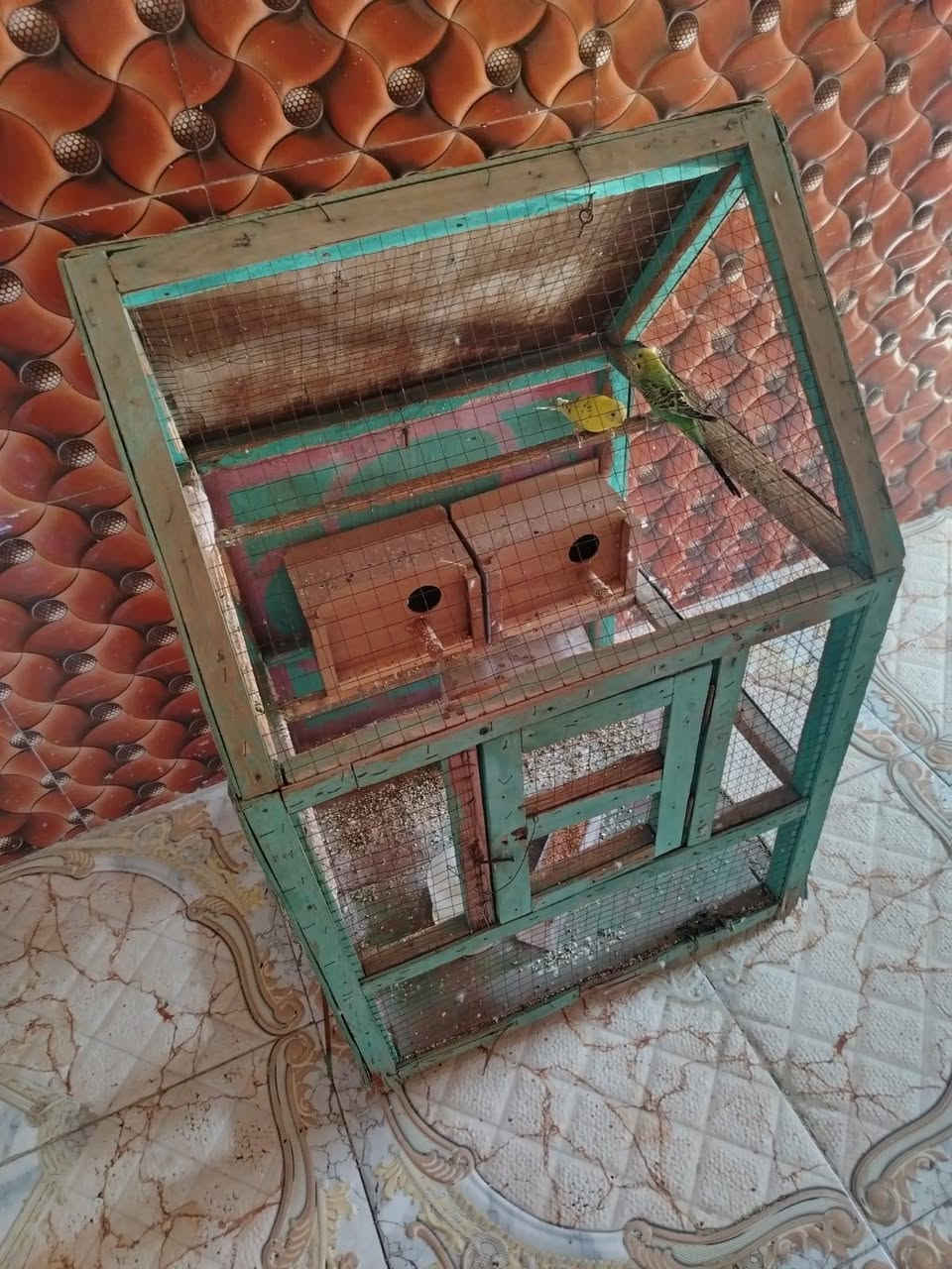 السلام عليكم أغراض للبيع
الاقفاص الحديد ثنينهن ب ١٠
القفص الخشب الكبير + محتوياته ب ٢٠ 
بيسكل يكفي لحد عمر ٧ سنوات ب ٢٠
ثلاجه  ب ٣٠٠ وبيه مجال كبيره كلش حجم ٢٦ مداخله تصليح شرط  الفحص
ميز تواليت تزكام شغل عماره ب ٤٠
سرير نفرين تزكام شغل عماره  ب ٣٥
لوحات كانفس عدد ٣ حجم كبير كلهن  سعرهن ٢٥ وبيهن مجال 
مكلف بالنشر العنوان ميسان الاتصال على الرقم *********** وبيه واتساب
