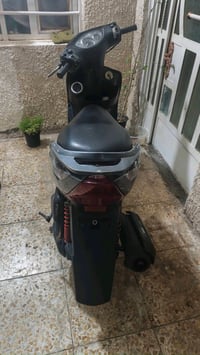 ماكس ثعلب للبيع07774863410للستفسار اتصال على هذا الرقم