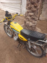 جاهزه • مكفوله • كربلاء