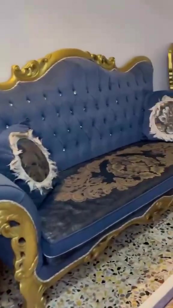 تخم ٥ مقاعد اخو جديد نص تخم سعره ٢٢٥ عنوان بغداد الشعب


**إذا كنت صاحب هذا الإعلان وتريد حذفه لأي سبب، رجاءا أرسل رسالة إلى الدعم الفني**