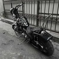 هارلي ستد للبيع  الدراجه كلش حلوه ونضيفه ناقصها بس تنضيف كابريتر وهاهي...