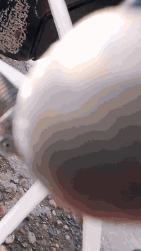 دراجه ماكس للبيع بوشه 55 صالنصه رياضي بيه شلعه كلش قويه  مكاني بغداد جسر ديالى دراجه خير من الله دراجه سلف وهندر ثنينهن شغالات السعر 475 وبيه مجال خابرني وتدلل وهذا رقمي ‏‪0776 037 6704‬‏
