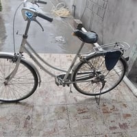 باسكل • مقاس ٢٦ • المسيب حي جايد