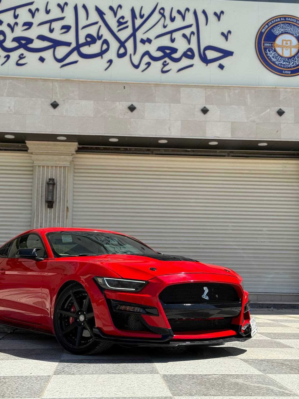 السلام عليكم قبل كلشي الي مايعرف بالتزويد والصرف المصروف ع سيارة لايتصل ويفشل روحه وعيوني الكم 

بيع او مراوس 🔞

نوع السيارة :‏ موستنك  (  GT Premium ) 

‏‎ الموديل : 2016

‏‎الفئة : جي تي بريميوم (10 نمر )

‏‎اللون :احمر  👑

‏‎عداد المسافة 105 الف 

‏‎عدد الاسطوانات : 8 سلندر ✈️⚠️

‏‎حجم المحرك : 5.0 🔥 ⛔️

السيارة كلش مميزة ❤️

الاضافات 

- كزوز كورس هدرزز 
-ويل ٢٠ تو سايز اصلي شلبي
 -بنيد ودعاميه شلبي
 -وجوملغات لويات ايباخ
 -راديترات اصلي 
-ولف حماوه برمجه حماوه وتقليل صرف وقود وستخدام يومي 
-جنح خلفي شلبي 
-دعاميه خلفي شلبي 
-لدات امامي شلبي
 وغيرها من الاضافات 

شباب السيارة كلش قوية ومزودة ومبرمجة ومحدث شيلبي ومصروف عليها هواي وسياره نصبتها تخبل 

‏‎المواصفات فول 1/1 بريميوم 

- شاشة كبيرة
-تشغيل عن بعد 
-كشنات تحكم كهرباء
-انارة داخليه دشبول وبيبان واكواب وارضيات سبع الوان 
-ثلاث وضعيات ستيرن
- كاميرا
- كشنات جلد ( تدفئة وتبريد)
- دشبول 7 اللوان متغير
- سستم سماعات
- شيفتات ستيرن
- مودات سبورت وسبورت بلاس وتراك ومطر وثلج وعادي 
- حساس خلفي
- رادار جانبي ( نقطة العمياء )
- لايت لد 
-انارة ترحيبية بالمري 
فجوج برمبو اصل
-دخول ذكي

رقم بغداد مشروع وطني  بأسمي 
 وهزة جديدة 

‏‎حالة السيارة : وارد امريكي

حادثها بأمريكا جاملغ امامي ايسر وايمن ودعامية امامي وخلفي وبالعراق بيها صبغ بالباب الايمن 
لغود وشواصي وگير ومحرك واكسل كله مكفول 
التبريد بوضع الشركة
سياره بالحقيقه تموت 🥰
موقع السيارة :الانبار
العافية ع الياخذها ❤️

*********** ‎
*********** واتساب 
السعر 165 بيها مجال بسيط
