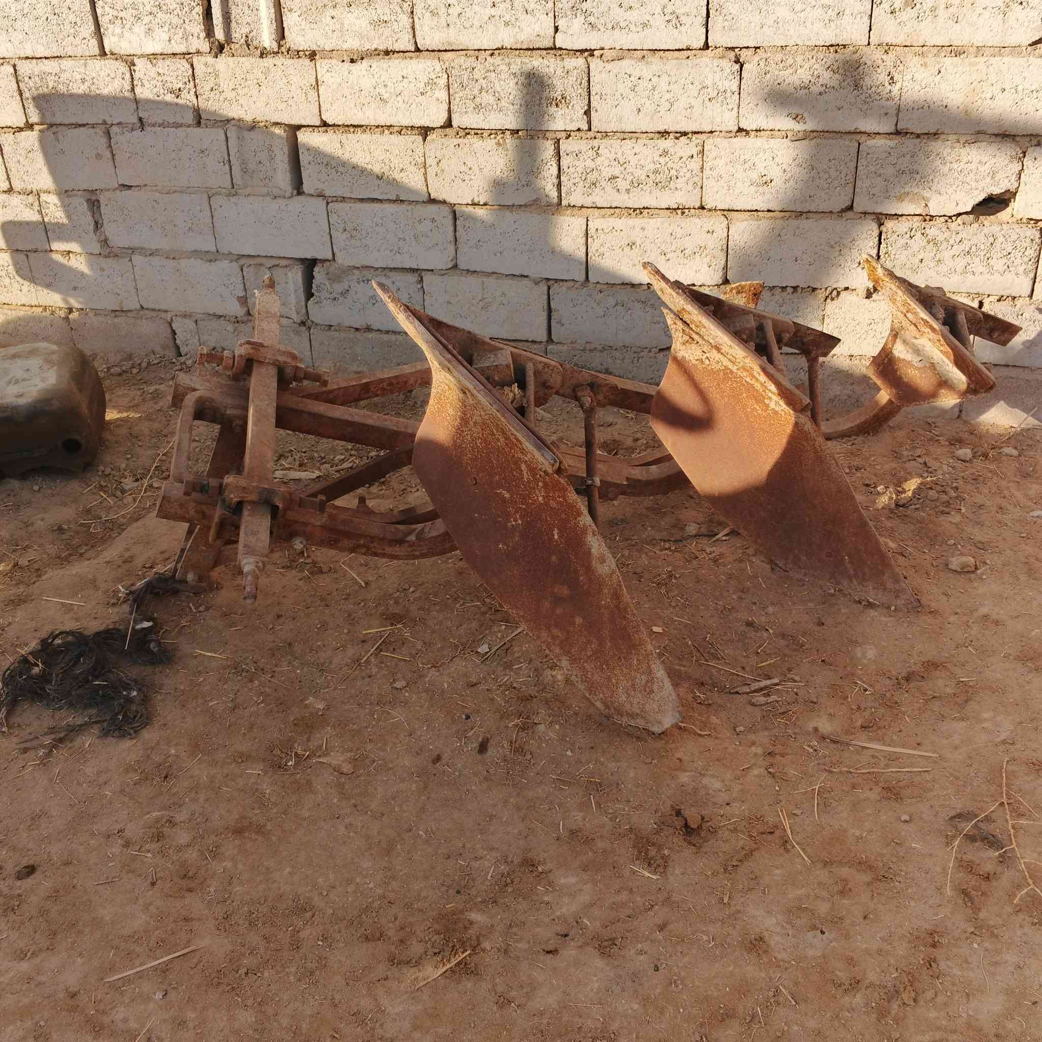 فدان عنتر البيع عوزه كفاخ واحد ماعوزه شي مكانه ديوانيه غماس ***********
