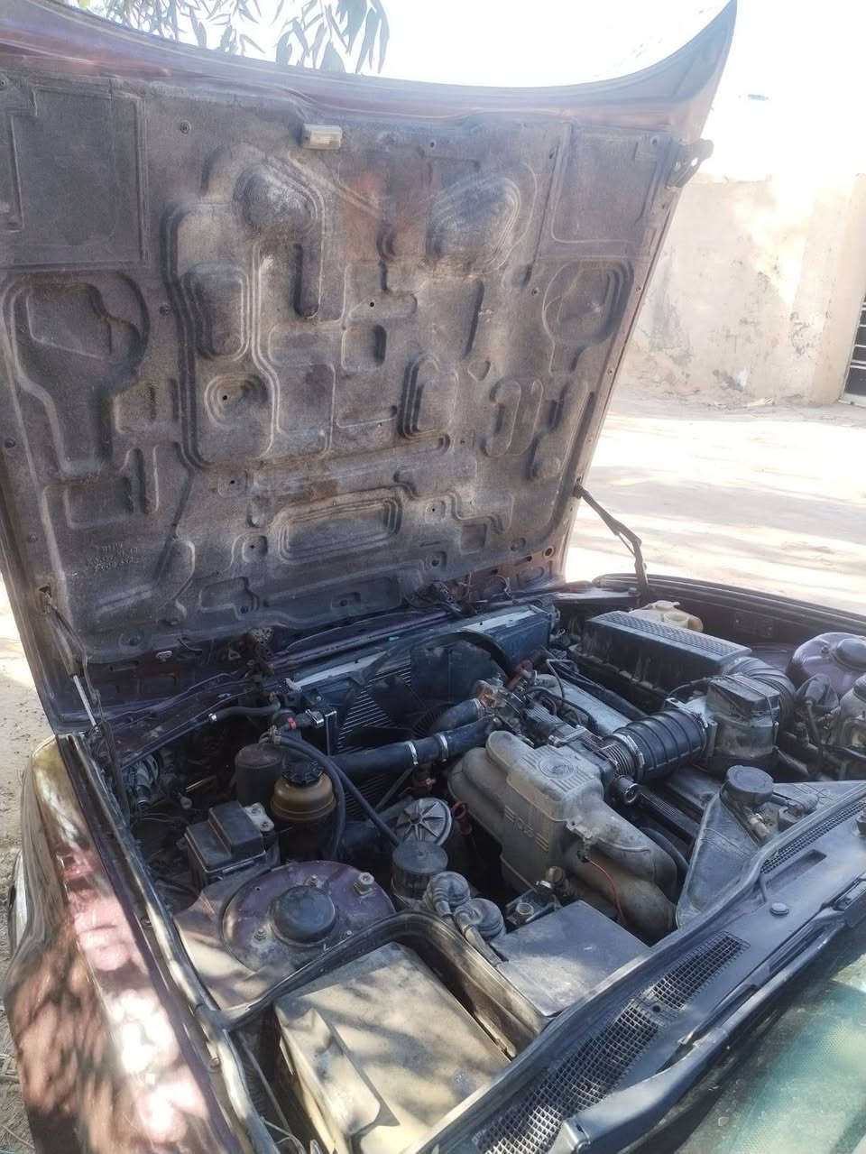 السلام عليكم بي ام 735 مديل 1991  رقم بغداد هزه وسنويه جديده باسمي عقد مروري كبل اريد احولها ماخليها باسمي السياره معمرينها قبل يدت باب السائق مكسوره والكير اذا بارد ياخر بثاني نمره رحت لبو الكيوره كال كنترور او نقص دهن وحده منهن فقط والباقي كله شغال لايت زنون اصلي عالي ناصي كيجات كلها شغال تخم تاير جديد حداده جديده سياره جاهزه سعرها ب
35 ورقه  مكاني كربلاء ***********
***********
