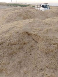 تبن • كيس ٦٠كغ • توصيل مجاني