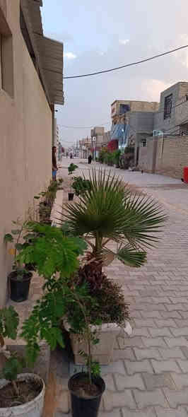 عرصه للبيع 200متر شارع المطار الجديد مقابل جوهره العرب فرع مثجات الاوائل شارع المقرنص +مجاري للاتصال ***********
