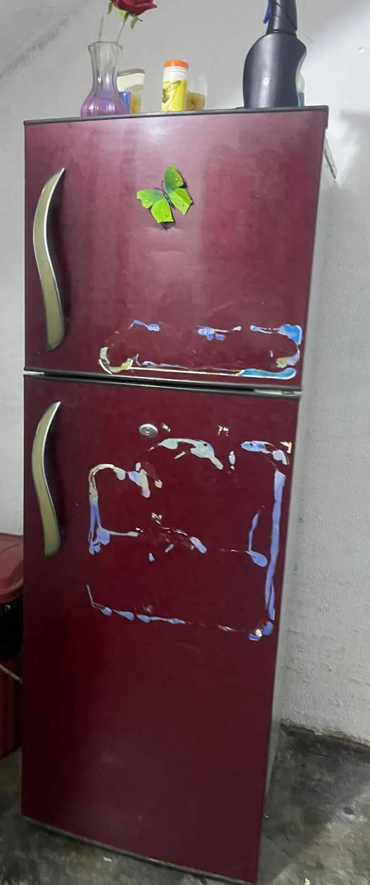 ثلاجه شغاله عالفحص ب١٠٠ الف وبي مجال


**إذا كنت صاحب هذا الإعلان وتريد حذفه لأي سبب، رجاءا أرسل رسالة إلى الدعم الفني**