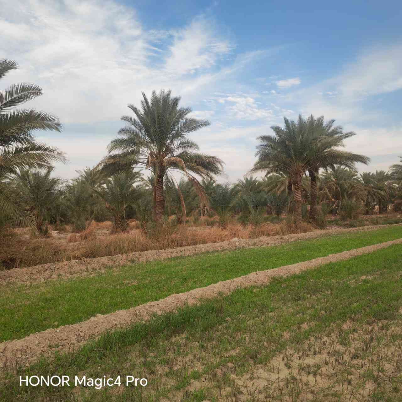 السلام عليكم اخواني الأعزاء
يتوفر لدينا 10دونم طابو ملك صرف بستان 

خدمات الأرض ماء سقي كهرباء أسألة سكن خدمات الأرض كاملة تصلح انشاء مزارع أو شاليهات أو استثمار 
موقع الأرض مميز جدا 
البصام على طابو الكاظمية فتح بيان وتحويل

فرصة ذهبية 

تبعد عن مركز مدينة بغداد نص ساعة أو أقل 

للإستفسار أكثر مراسلة الصفحة أو الاتصال على الأرقام التالية ***********📞
***********📞
***********📞
