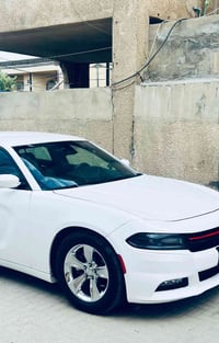 ويل كروم • مراوس • تاير ٢٠٢٥