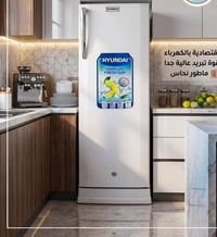 ثلاجة هونداي • ١١ قدم • ٦ قدم