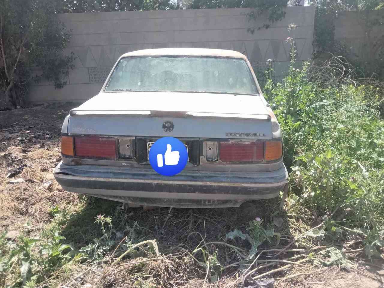 السلام عليكم تم تفصيخ بونتياك محرك حجم 3800 اي شي تحتاج عندي مكاني ديالئ قضاء المقداديه


**إذا كنت صاحب هذا الإعلان وتريد حذفه لأي سبب، رجاءا أرسل رسالة إلى الدعم الفني**