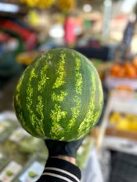 توصيل مستمر • راوه الجديده