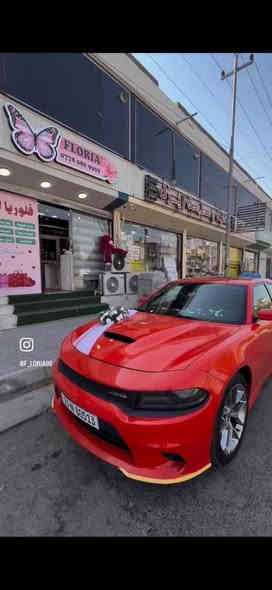 السلام عليكم 
جاجر GT 2021
مواصفات الgt معروفة كشنات جلدد لونين  حساس خلفي فتحة سقف باقي المواصفات داخل الصور 
السوناررواضح بالصور بس قبل يومين انطخت عندي بالصفحة جهة اليسار اسفل الباب بدون الدوسة ومن فوك شوية قريب الباب هذا كلة يرجع PDR وينخصم سعره من السيارة 
السعر النهائي 30،000
العنوان كربلاء 
***********

