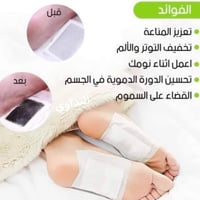 لەکەلەشاخی شەقڵاوە لەزگەی کەلەشاخمان لا دەست دەکەوێت بەهەر هەرزانترین ...