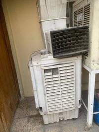 كونفيره • شغاله • هواها ثلج