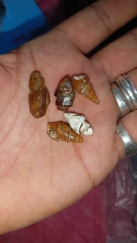 حجر ملوي شفاف • ٥ ناعمات • مراوس بخاتم فضة