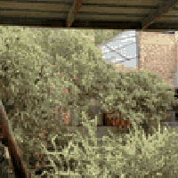 دار للبيع مساحة 200 م  العنوان الحسينية الضباط مقابل السوق الأول 📍  ال...