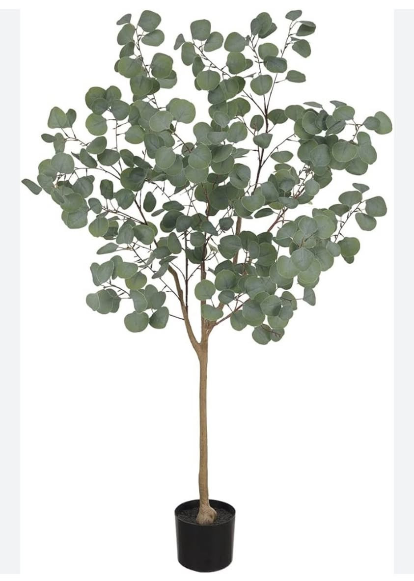 شجره الصفصاف الصناعيه كوالتي عالي ارتفاعه ١٨٠ سم سندانه اسود


**إذا كنت صاحب هذا الإعلان وتريد حذفه لأي سبب، رجاءا أرسل رسالة إلى الدعم الفني**