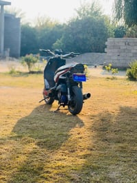 سكنس جبلي • صلاح الدين الاسحاقي • حك الجير