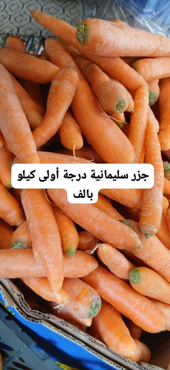 #كل_يوم_طلبيات_مفتوح_ومسواك_جديد_متوفر_يوصلك_للبيت_فقط_عليك_تحجز_وبالخدمة
 🍎🍉🥦🥕🍓🌶🍒🍋🍄☘️🫛🌱🔥🔥🔥🔥🔥
#متابعين_فواكه_وخضروات_ابومصطفى_في #خانقين
‏
‏🔹 «اختار المعروض بالصور والأسعار الظاهرة امامك وأرسل الطلب عالواتساب أو المسنجر»  على الرقم الاسفل👇

‏
‏                 الواتساب  ***********.
‏                 التليكرام ***********
                 الفايبر ***********
                ماسنجر / فواكه وخضروات ابو مصطفى 
#الجميع

‏
