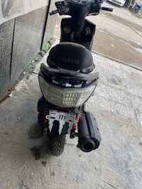 سكنس فحل للبيع 07816912121