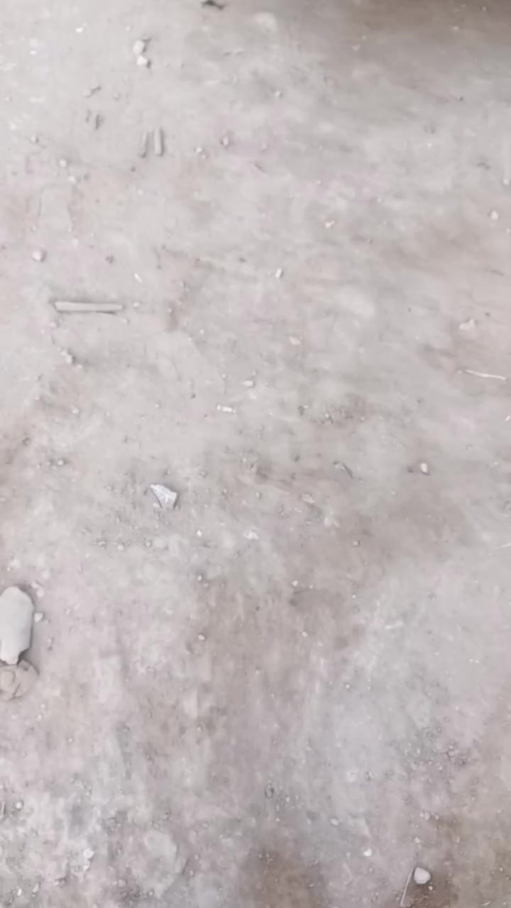 للييع رينو موديل 1993 رقم بغداد سنويه حمل وكاله عامه بسمي محرك جديد طول 6 متر ((السعر 50 ورقة))مكان الديوانيةة
الرقم:  ***********
