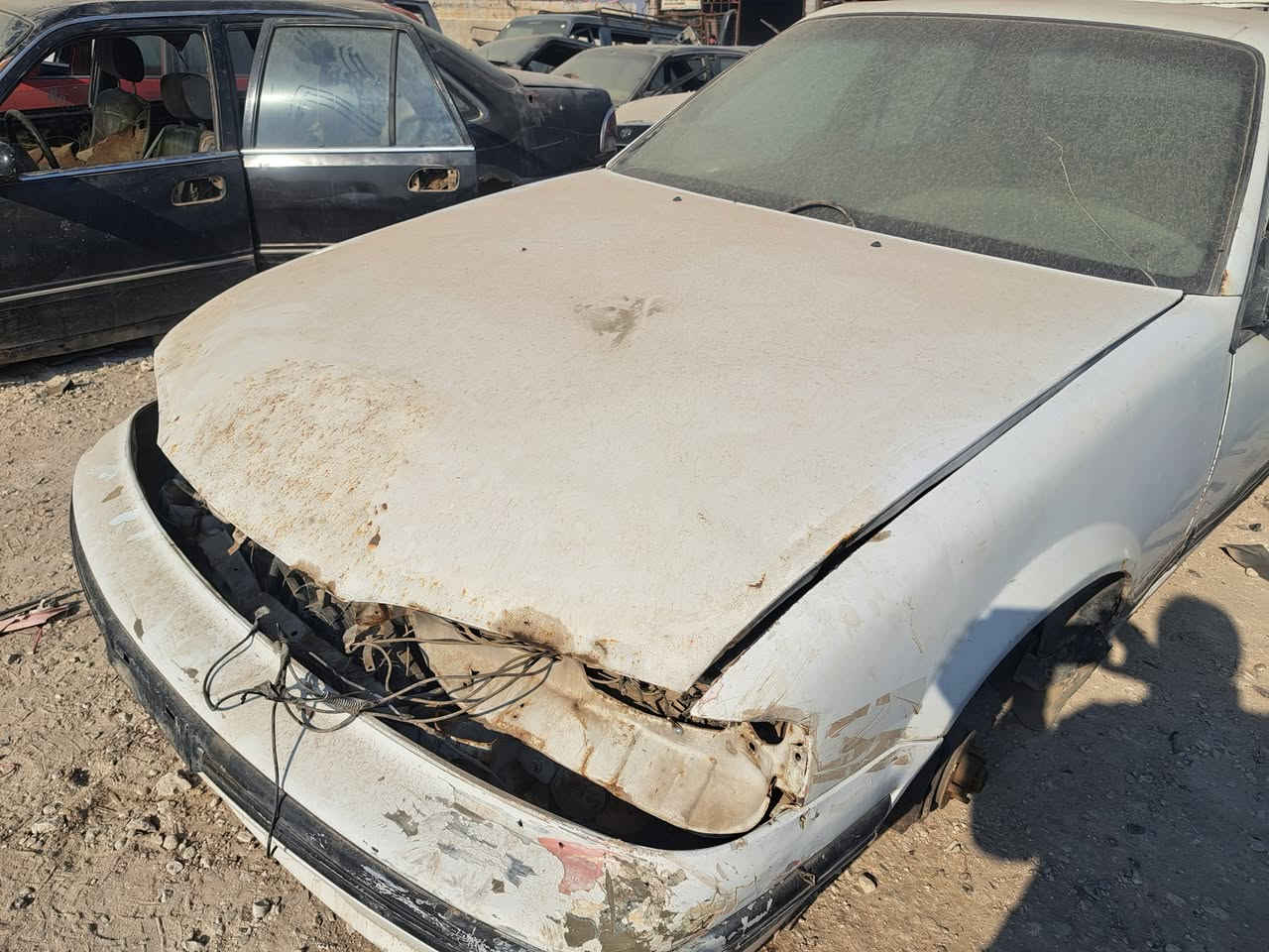 السلام عليكم من رخصة الادمن تم تفصيخ برنس كير عادي واتو ماتيك مكينه وكير كفاله  كل الي تحتاجه موجود وبأنسب الاسعار أتصل وبيك خير وتدلل العنوان ابو غريب حي الرساله أتصل لانجيب ع الخاص \***********\***********
