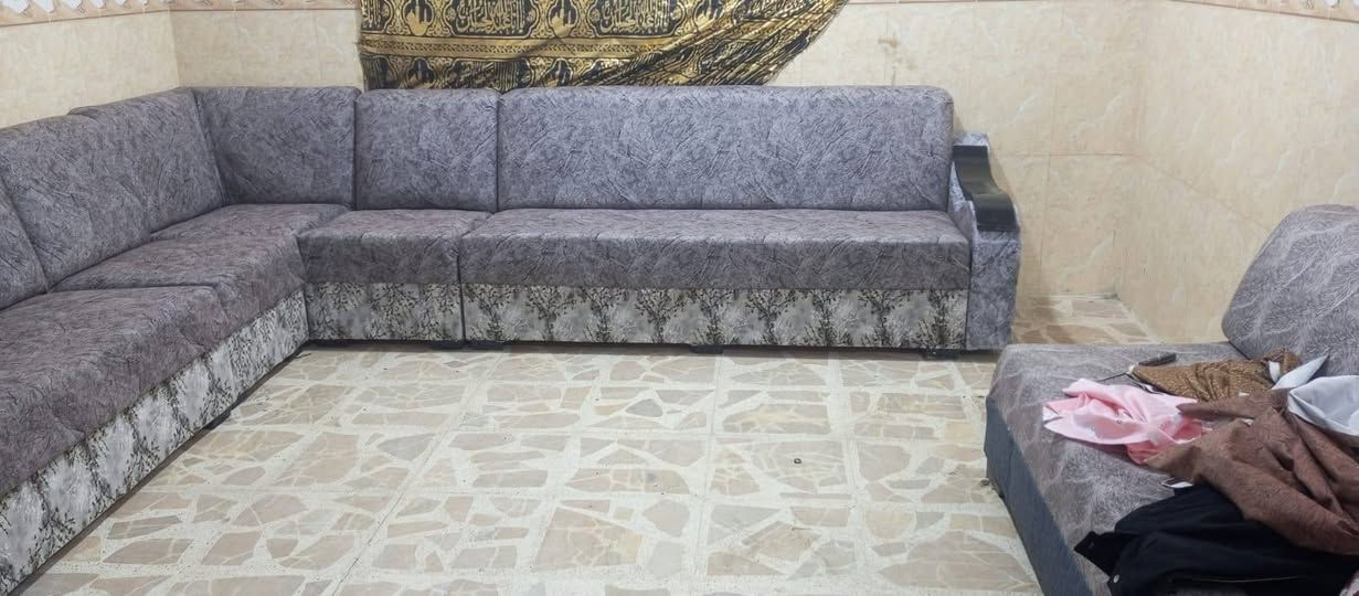 تخم ديوان للبيع نضيف 11 نفرات السعر 195 تسكام *********** واتساب اكو توصيل بلكروه نجف *********** نجف اكو توصيل بلكروه نجف *********** نجف
